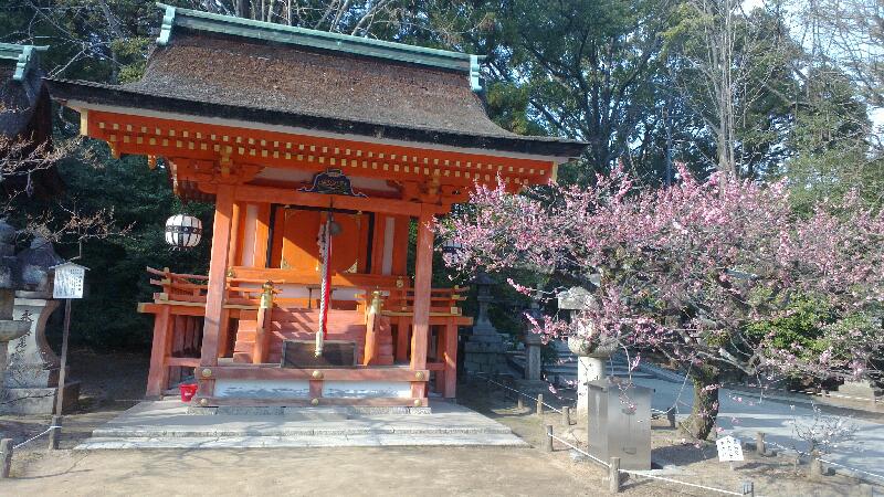 2014-03-24-Shrine-with-blossoming-cherry-tree-in-Kitano-Tenman-gu-temple.md_14030105.jpg